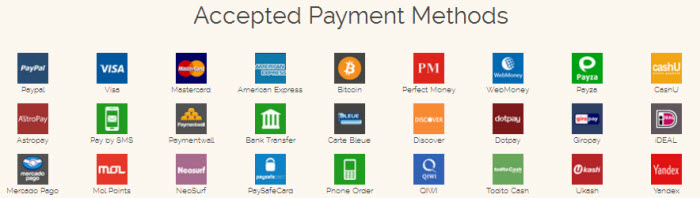 ibDNS payment options