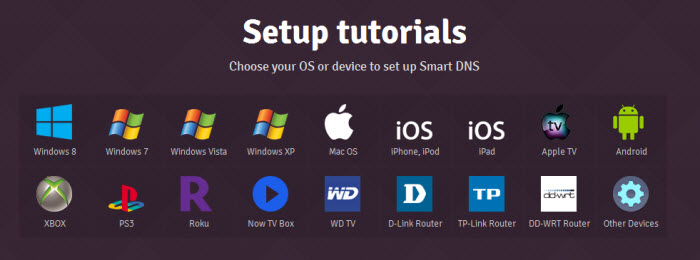 SmartyDNS Device