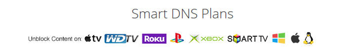 Torguard SmartDNS Devices