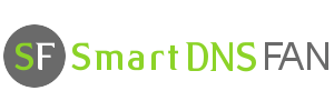 Smart DNS Fan